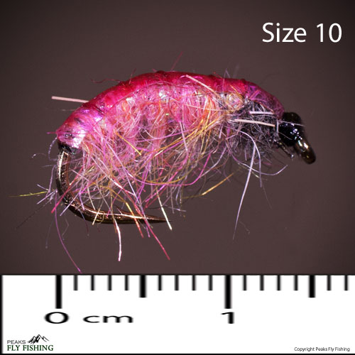 This czech nymph is shrimp like but the bright pink is certainly an attraction